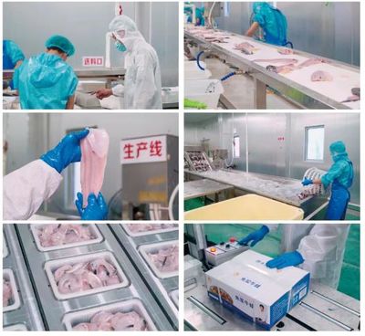 牛蛙飼料巨頭再啟新篇 年銷破10萬噸后，戰略布局原料銷售市場